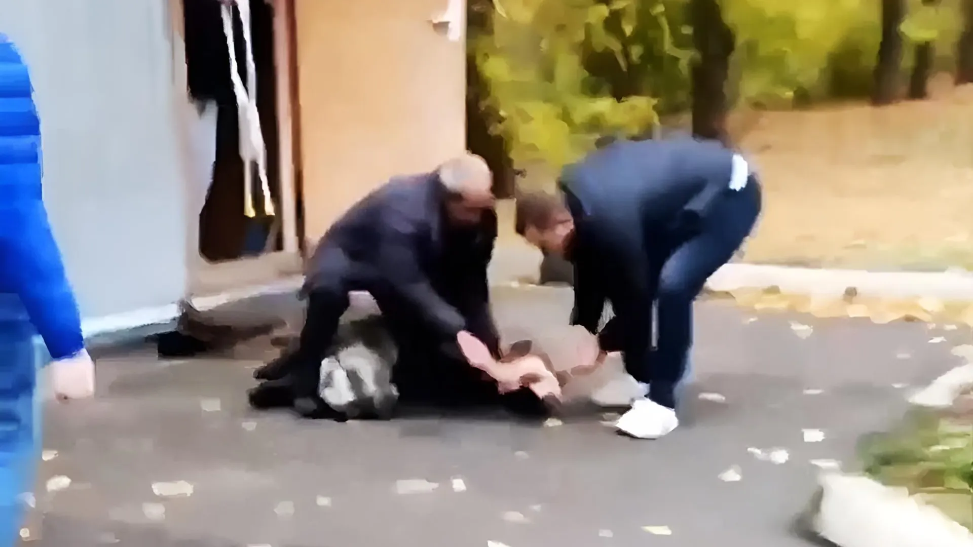 фото: скриншот видео «Подмосковные вести»