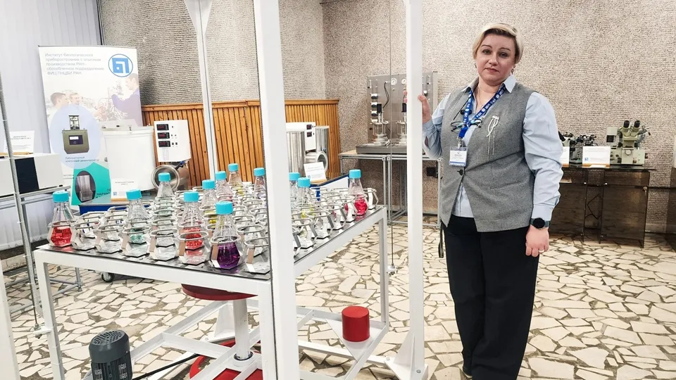 Фото: REGIONS/Мария Панина