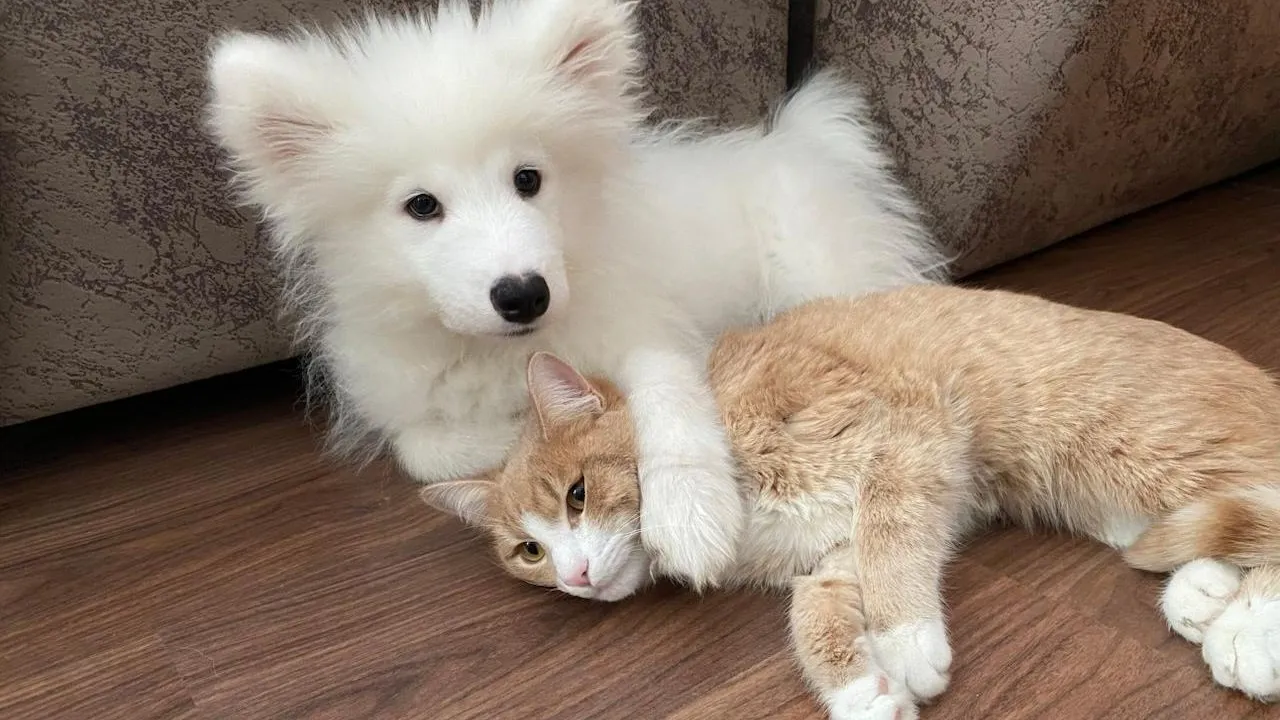 Несчастный «плотогон»: в Башкирии спасатели вытащили из реки щенка, который плыл на бревне