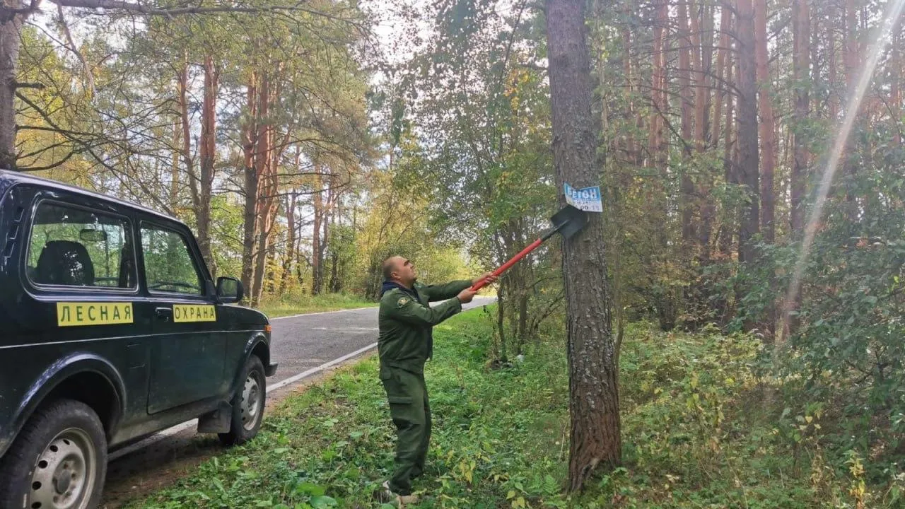 Комитет лесного хозяйства Московской области