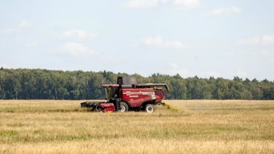 Фото: пресс-служба городского округа Кашира
