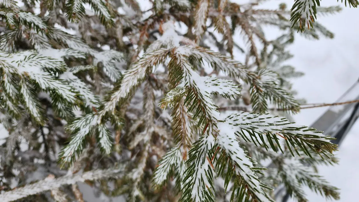 Фото: Яна Шаливская