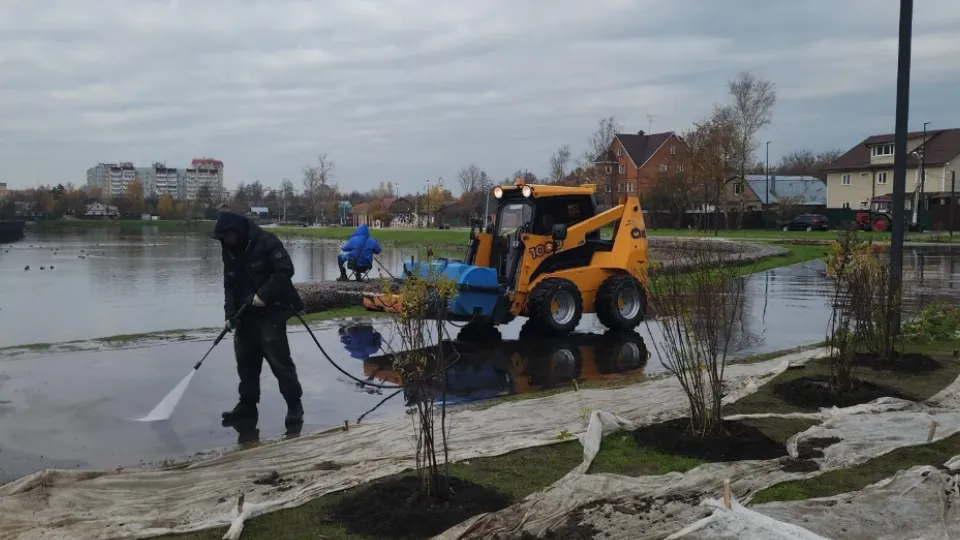 Фото: Министерство благоустройства Московской области