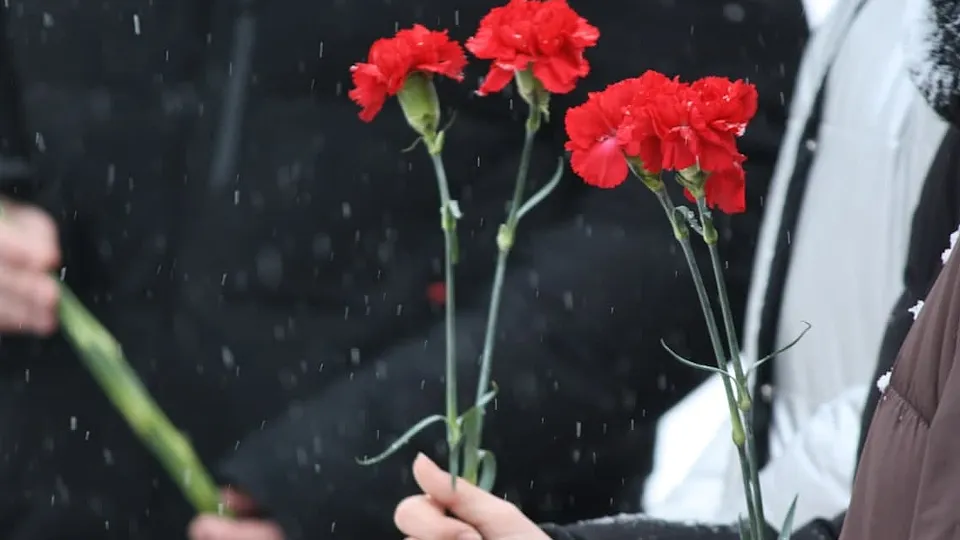 Фото: vk.com/Чехов Сегодня