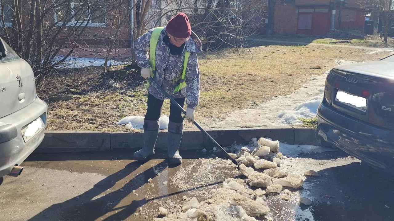 МедиаБанк Подмосковья/Дмитрий Беденко