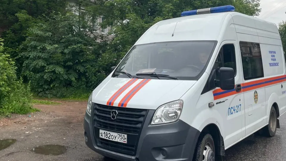 Фото: ГКУ МО «Мособлпожспас»