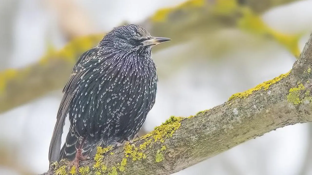 личный архив Елены Швыдун