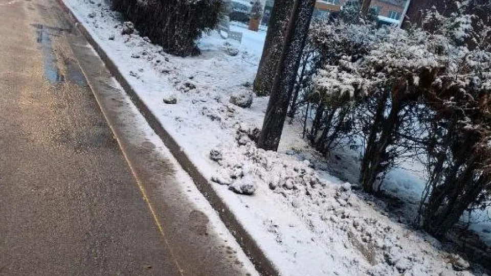 Фото: пресс-служба администрации Одинцовского городского округа