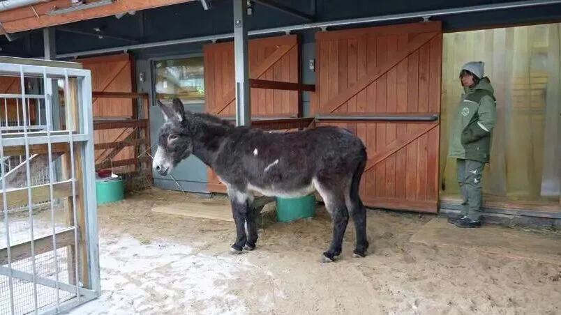 Московский зоопарк