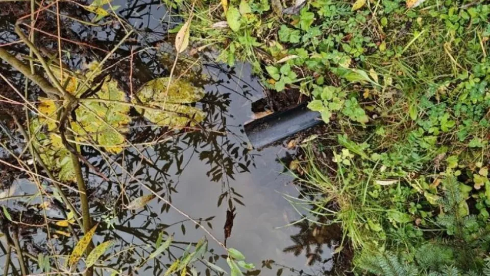 Фото: Министерство экологии и природопользования Московской области