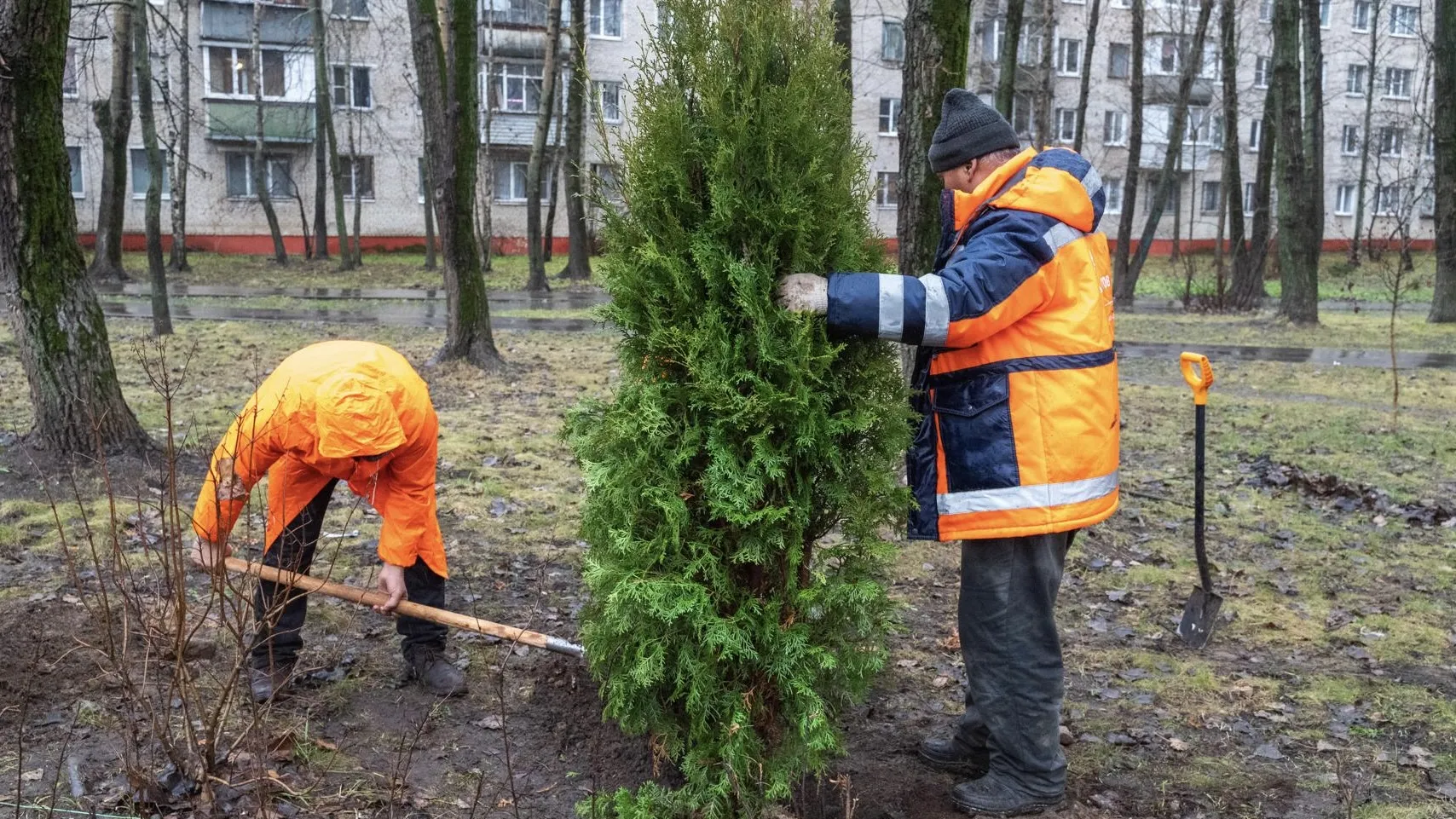 Фото: администрация городского округа Реутов