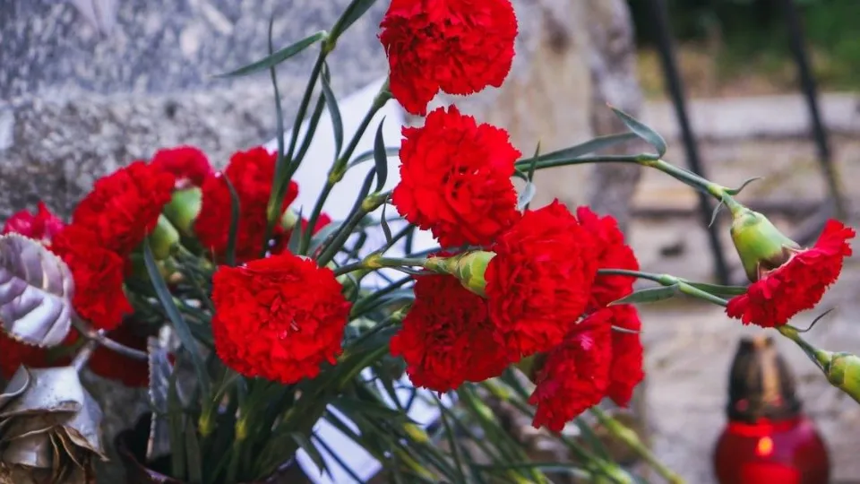 Фото: t.me/MMC_Ruza