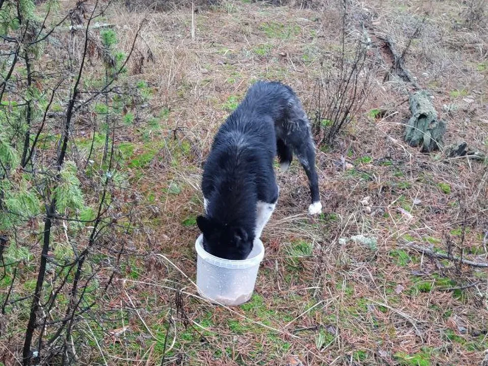 Фото: Елена Кудрявцева