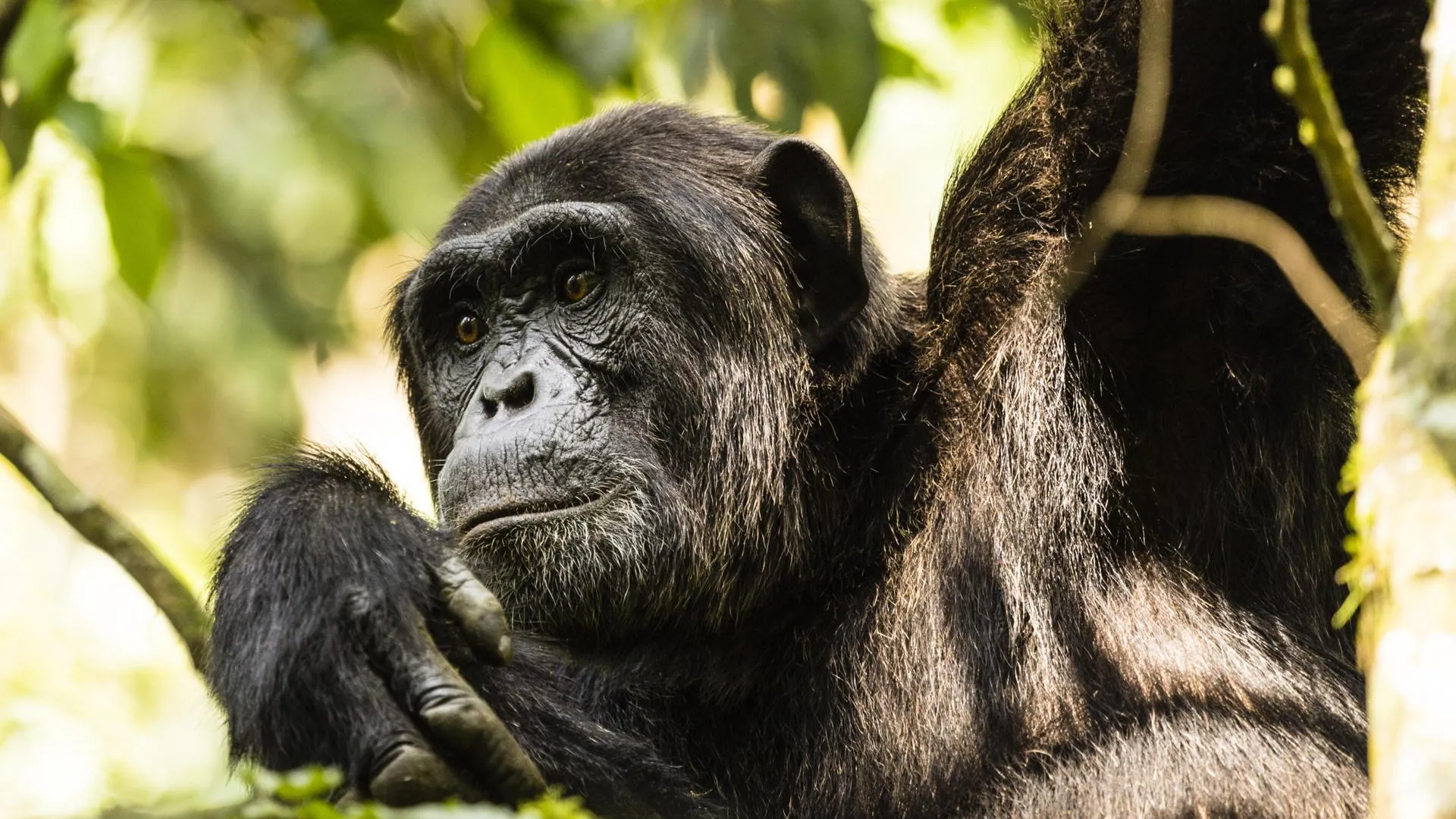 Gilles Barbier/imageBROKER.com