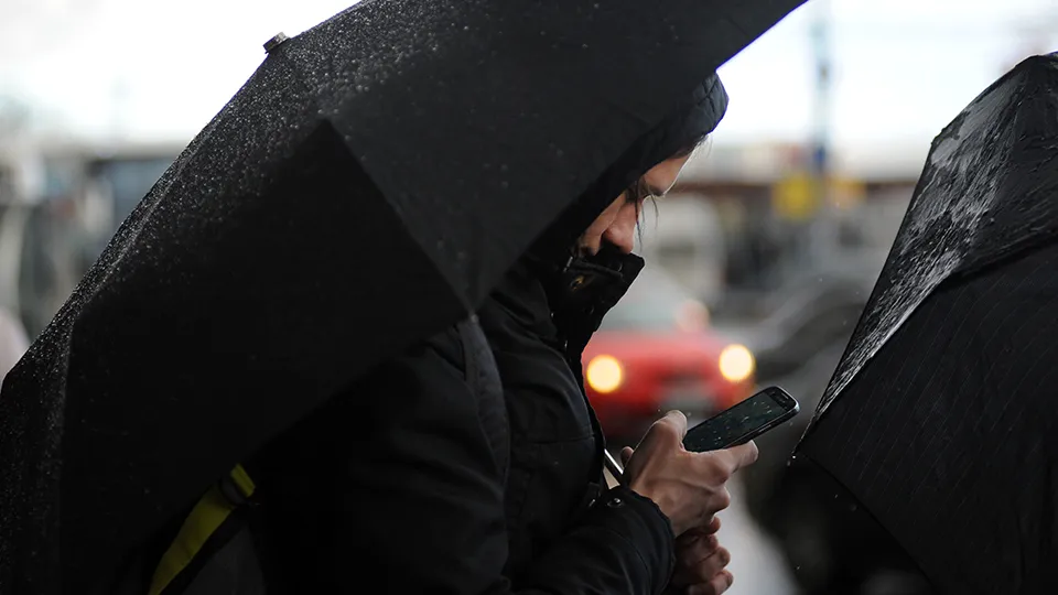 Фото: медиасток.рф