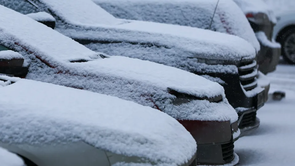 Фото: ТАСС/NEWS.ru/Алексей Белкин