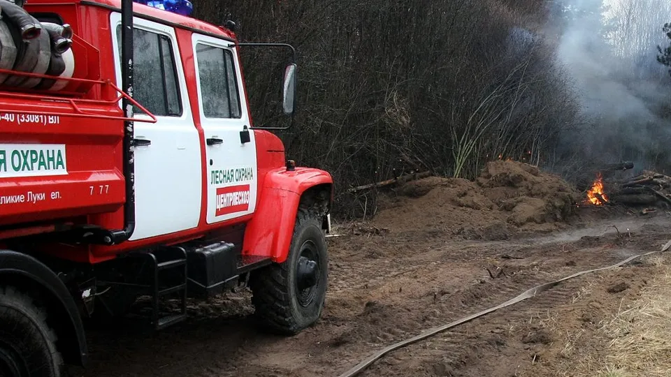 Фото: медиасток.рф