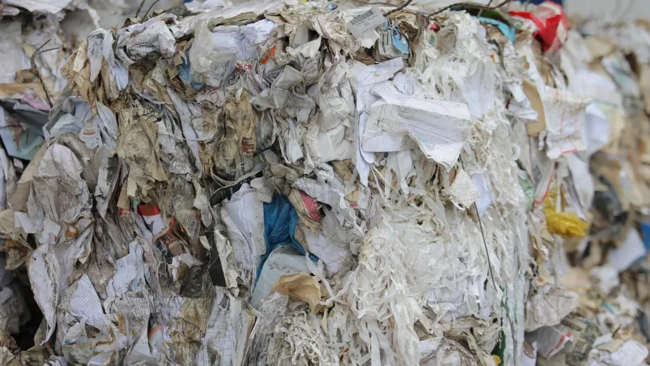 Шестьдесят тысяч тонн макулатуры отправили с 2019 года на переработку в Московском регионе