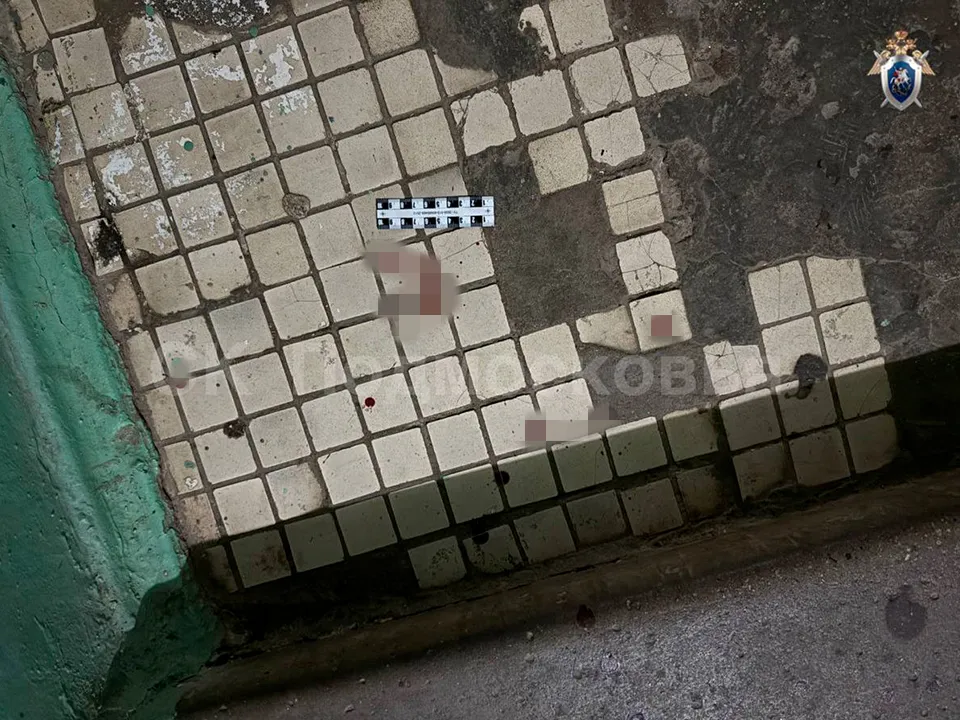 Фото: пресс-служба ГСУ СК России по Московской области