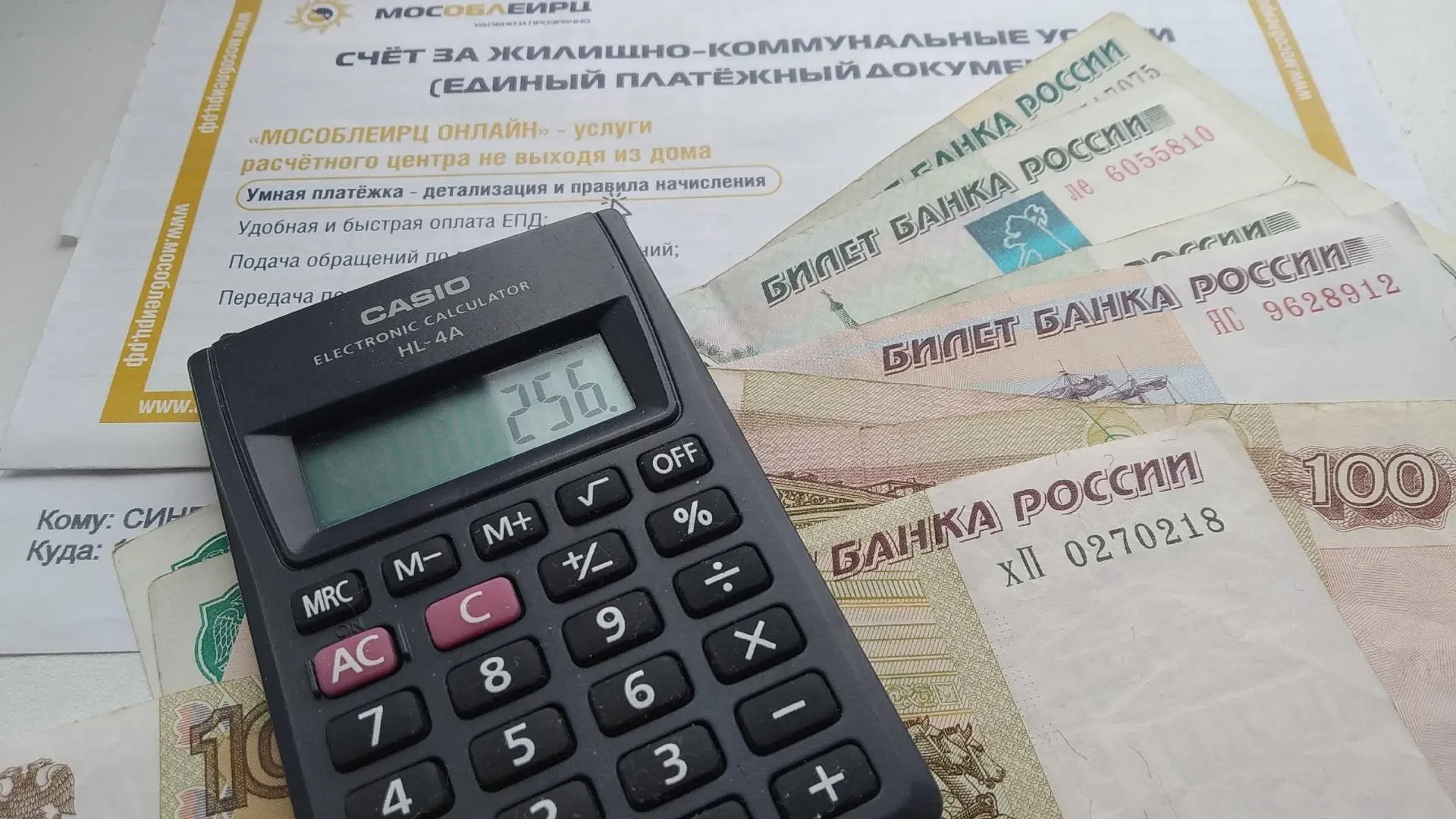 Фото: Татьяна Синельникова