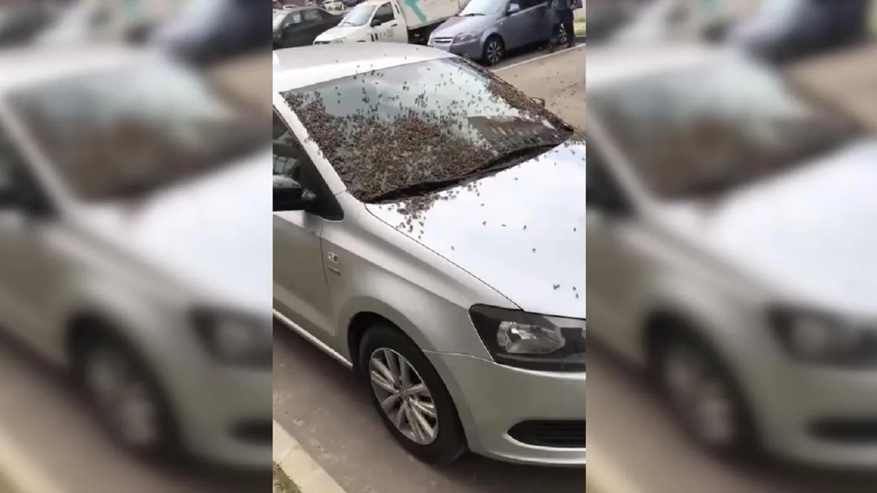 Соцсети