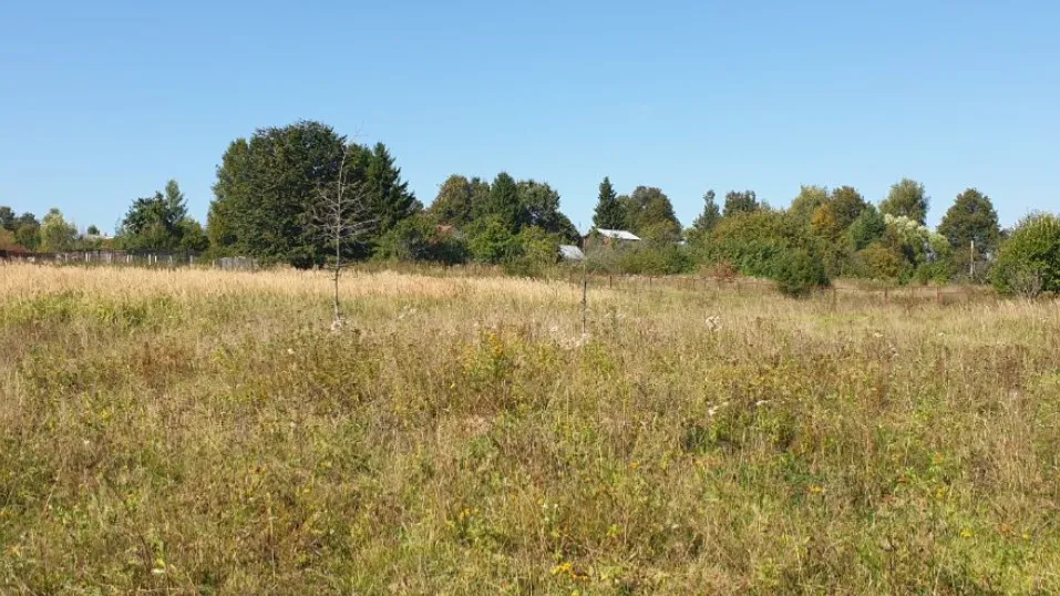 Фото: Комитет по конкурентной политике МО