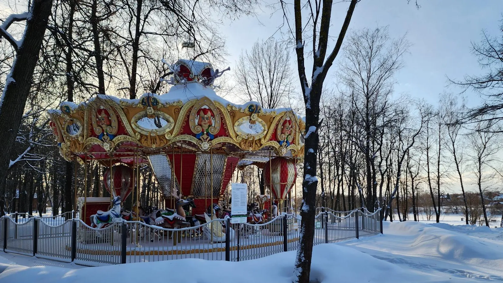 Фото: Светлана Плотникова