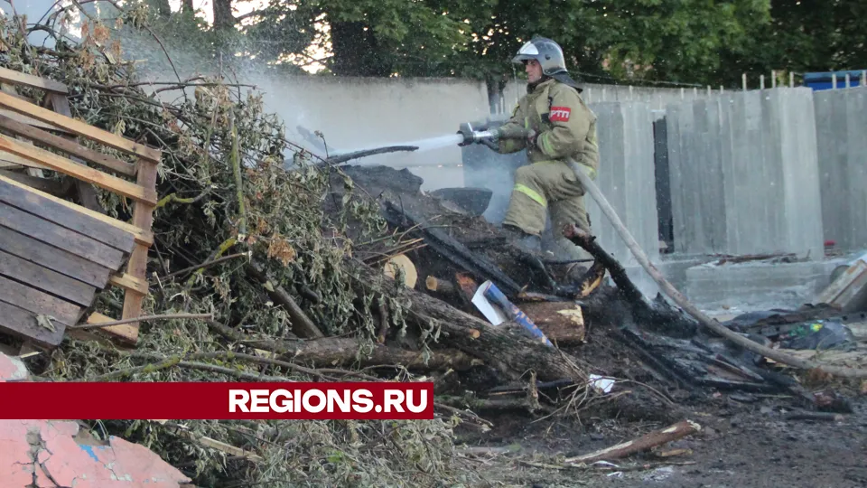 Фото: REGIONS/Василий Тремасов