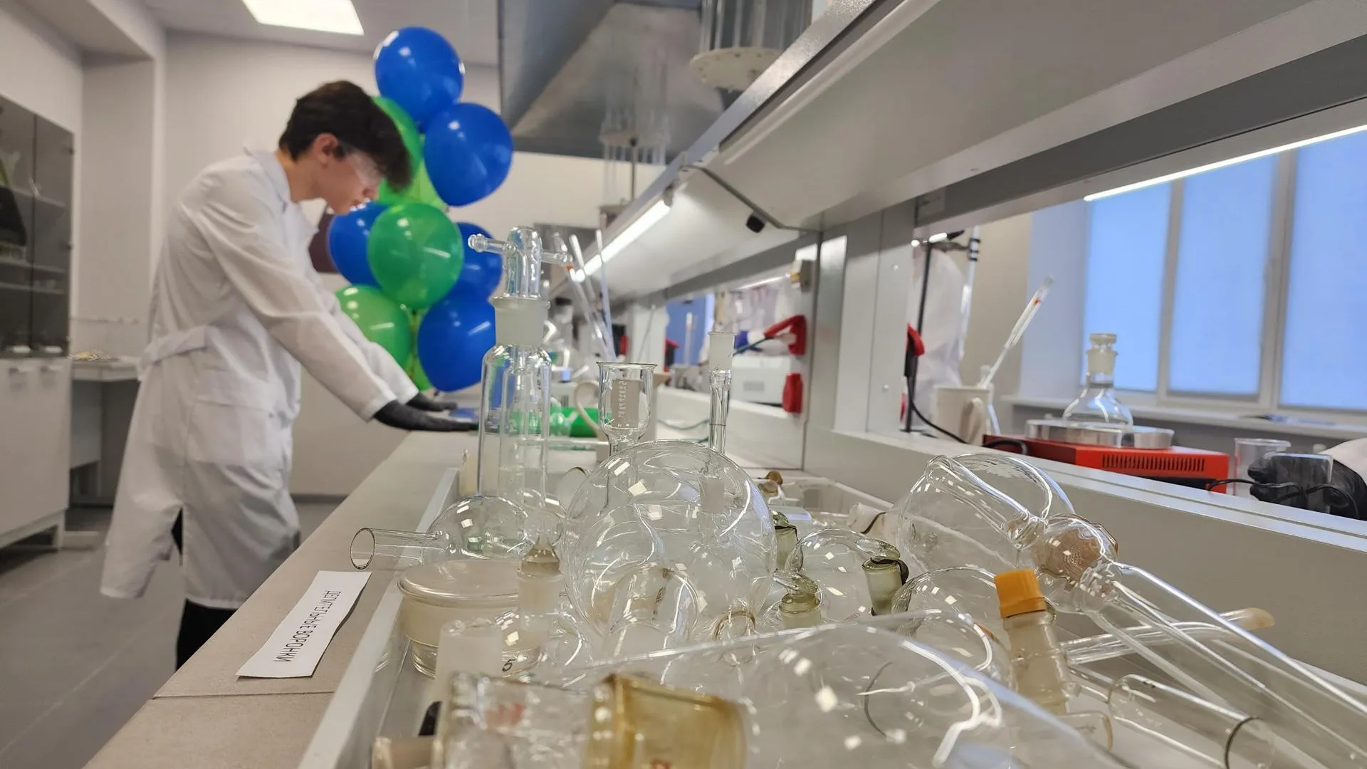 Светлана Плотникова