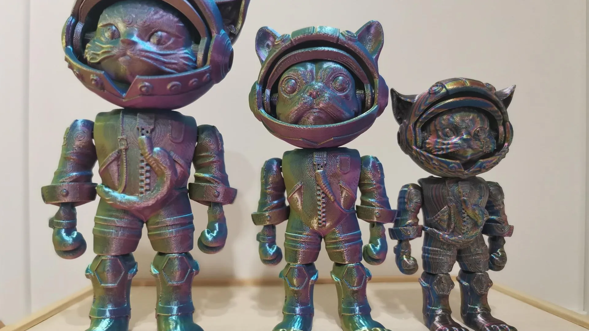 Фото: Ольга Вельшикаева