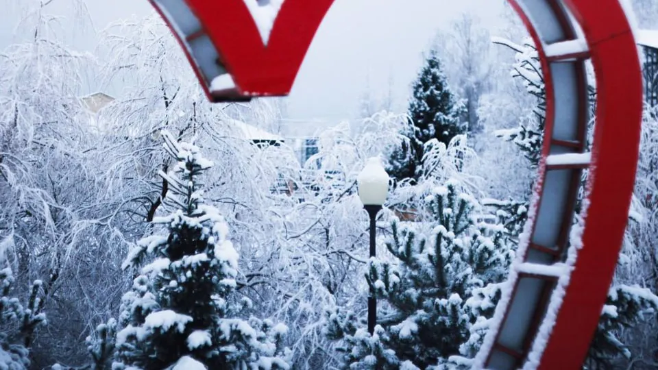 Фото: t.me/mosoblpark