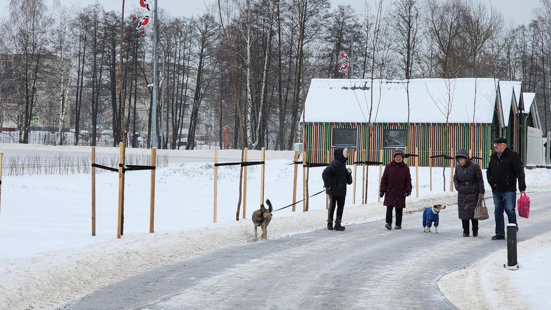 Фото: Юлия Андросова