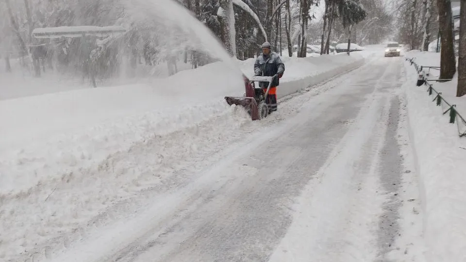 Администрация Рузского муниципального округа