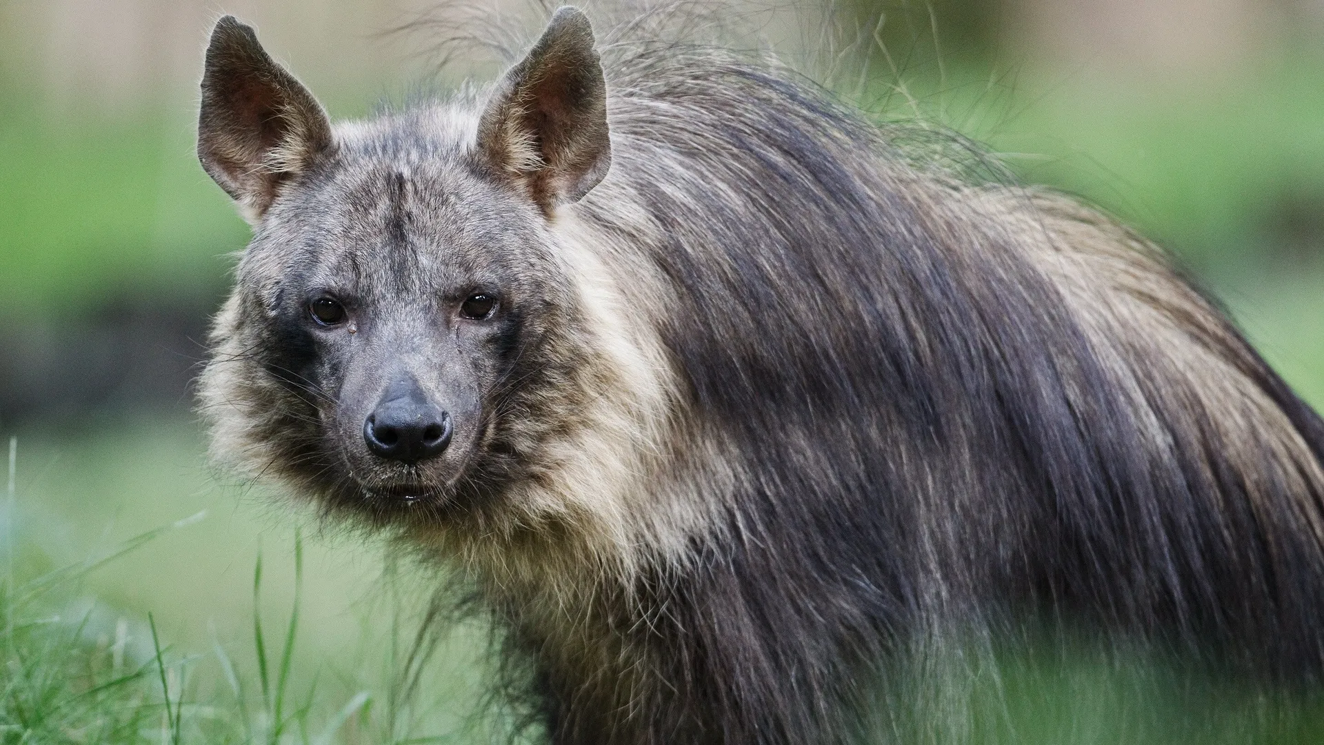 Фото: unsplash.com