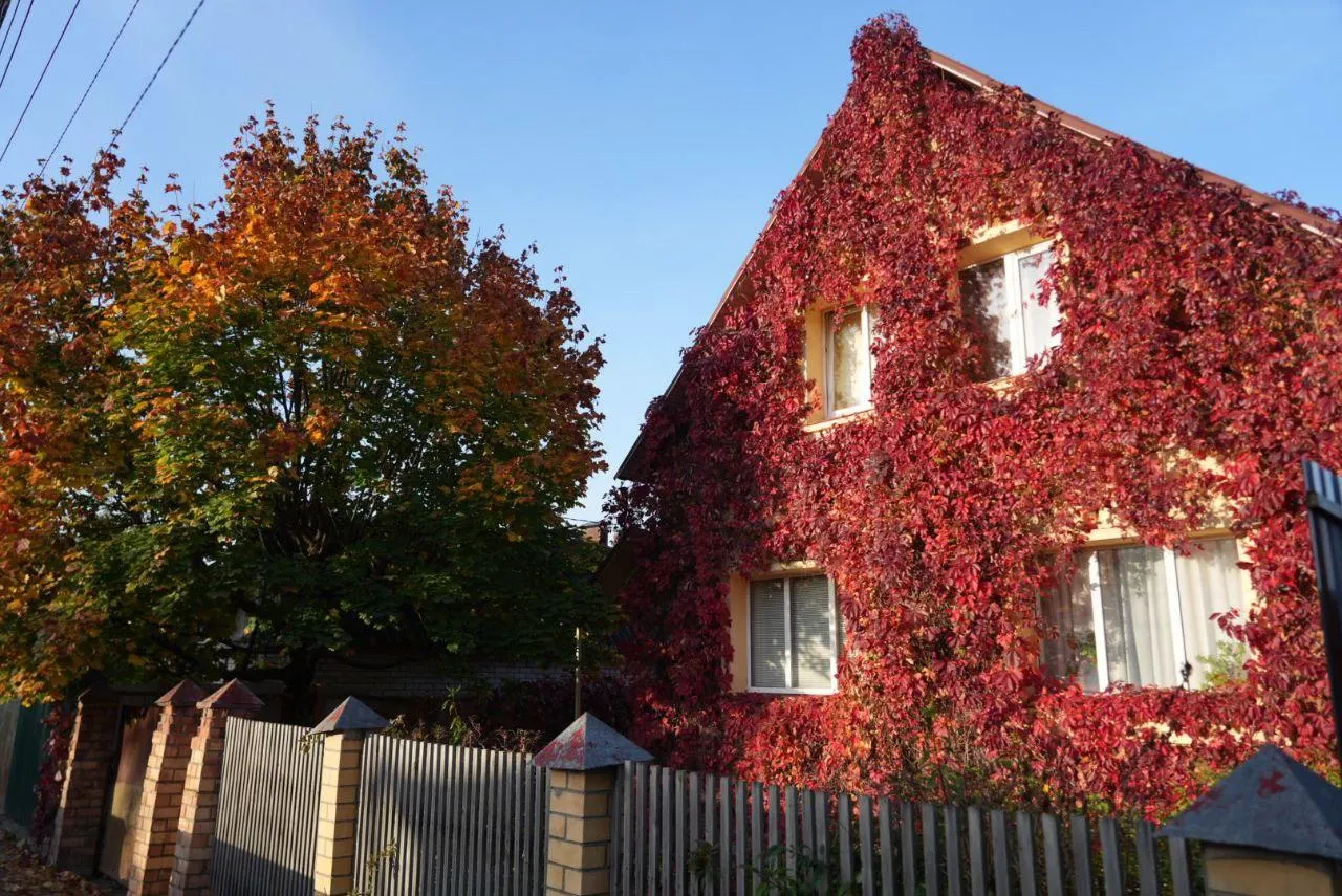 Дмитрий Зайчиков