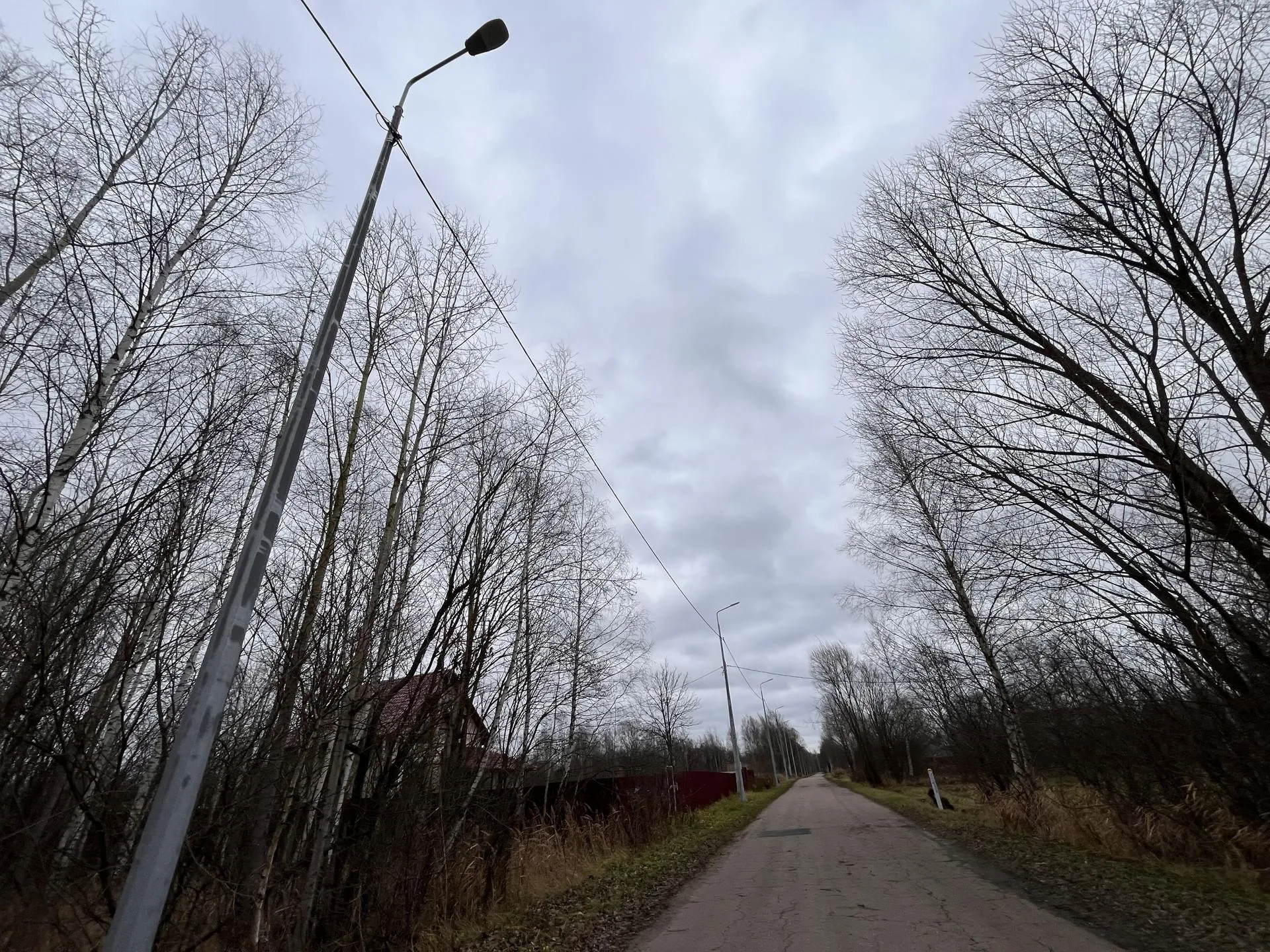 Фото: МедиаБанк Подмосковья/Ангелина Стельмух