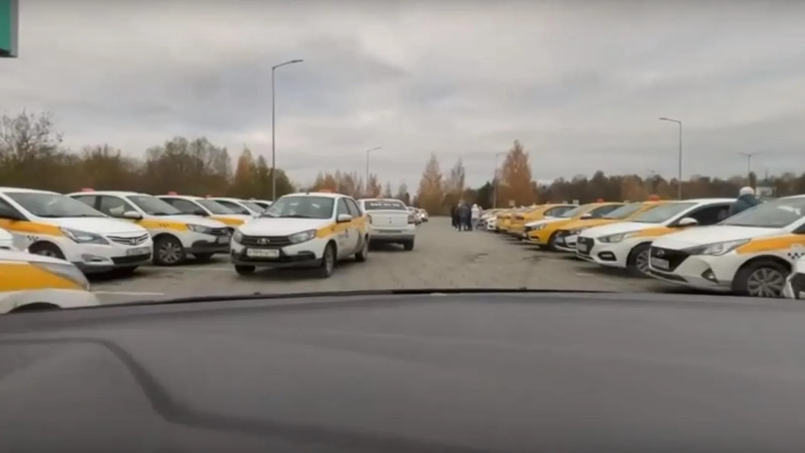 фото: соцсети