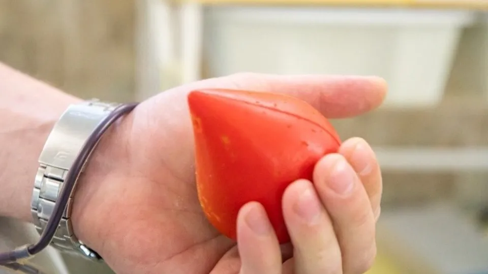 Фото: Министерство здравоохранения Московской области