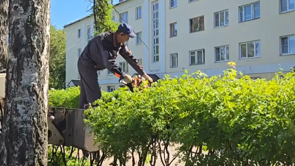 Фото: REGIONS/Елена Аботурова