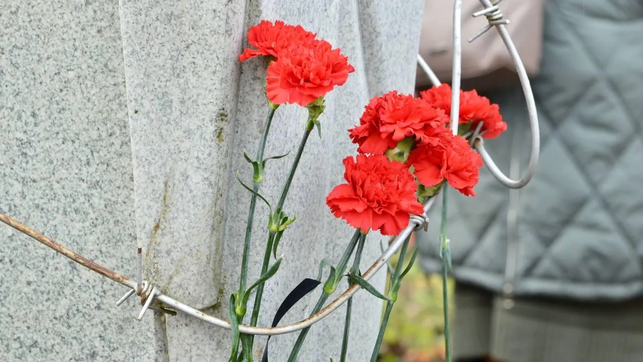 Пресс-служба администрации Можайского муниципального округа