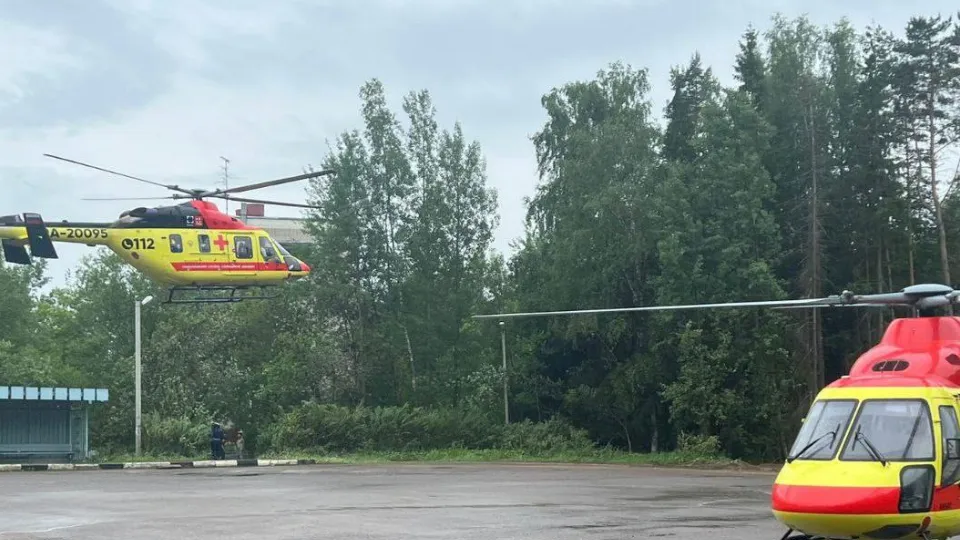 Фото: t.me/serpukhov