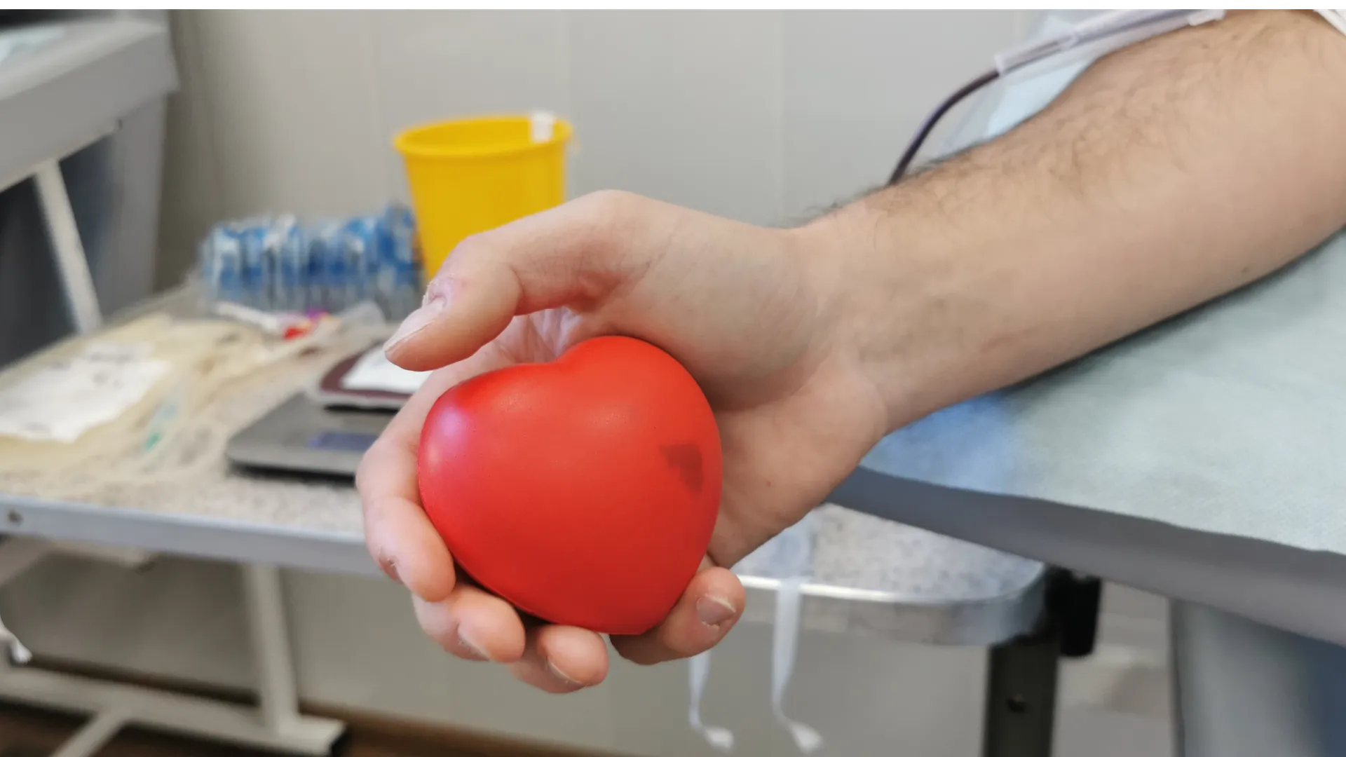 Фото: Евгений Лавряшин