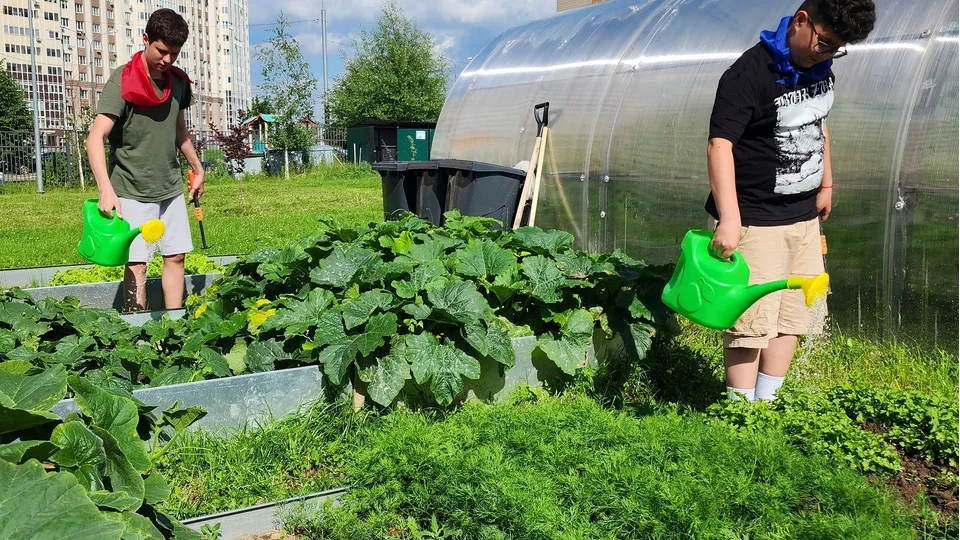 Фото: МедиаБанк Подмосковья/Анастасия Сараева