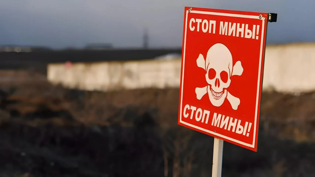 Правительство Курской области