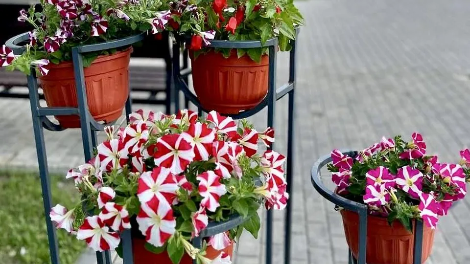 Фото: Министерство по содержанию территорий и государственному жилищному надзору