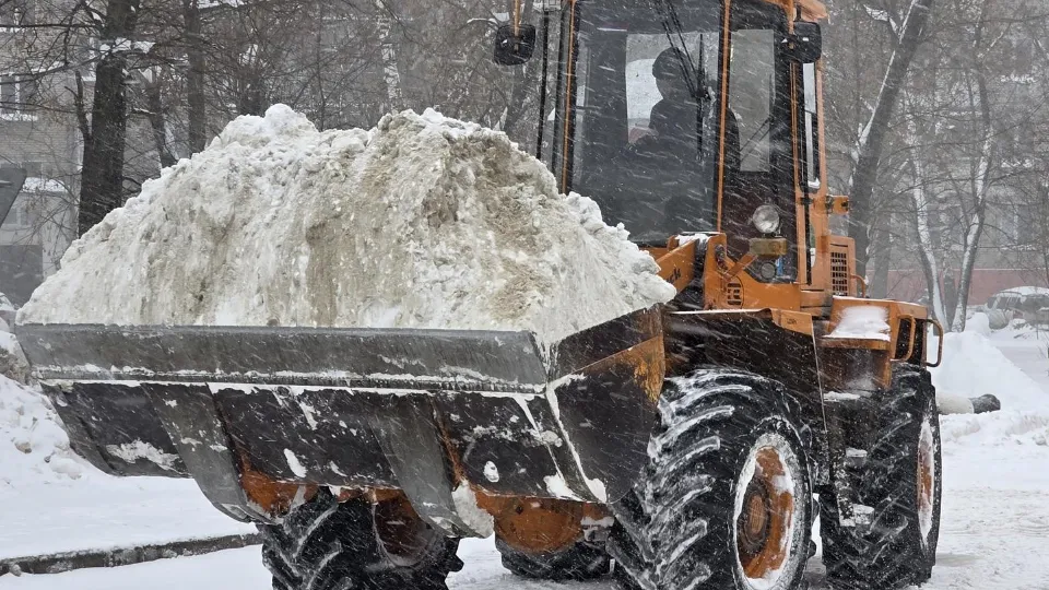 Фото: МедиаБанк Подмосковья/Мария Юдина