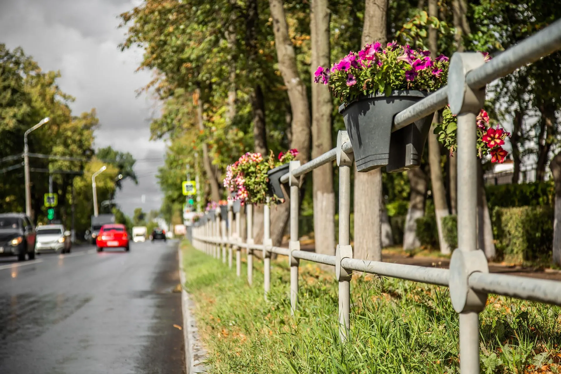 Фото: Минтранс Подмосковья
