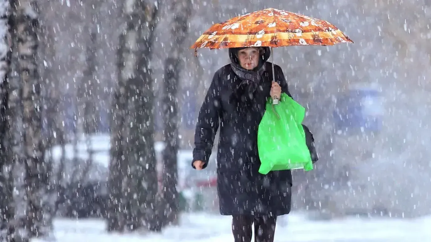 Фото: Сайт мэра и правительства Москвы