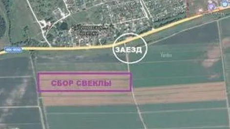 Бесплатный сбор свеклы объявили недалеко от Серпухова