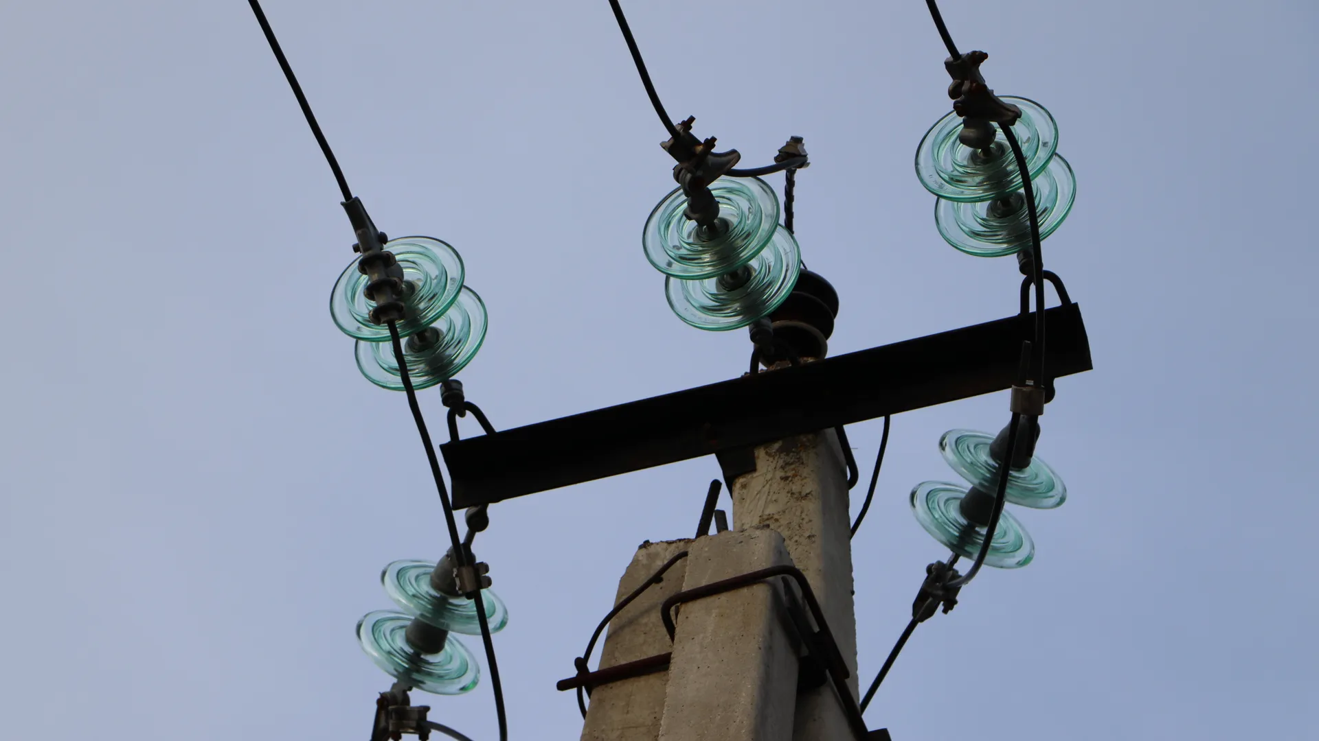 Фото: Медиабанк Подмосковья